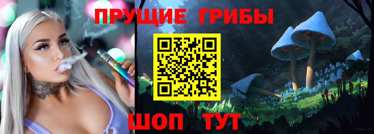 Псилоцибиновые грибы Psilocybe  Вход с VPN  Городец  Псилоцибиновые грибы мухоморы 